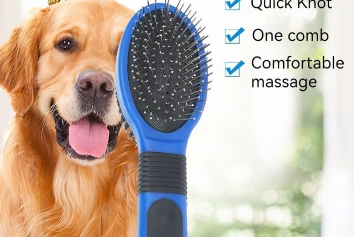 Un Golden Retriever avec une couronne apprécie le peigne double face Viktor dans une maison confortable.