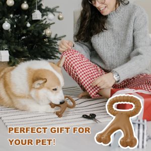 Festive woman and dog by Christmas tree with gift box, ideal holiday scene.