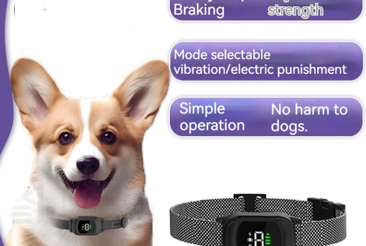 Justerbart elektroniskt hundhalsband: Säkert och effektivt träningsredskap med gratis silikongåvor