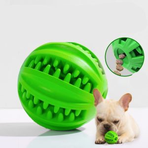 Jouet vert pour chien avec bouledogue français, distributeur de friandises pour des dents propres et une stimulation des gencives.