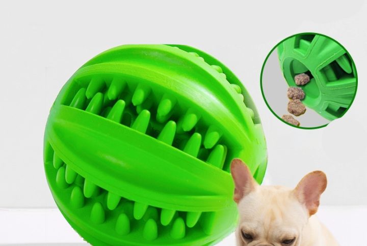 Green dog toy with French Bulldog, treat dispenser design for clean teeth and gum stimulation.