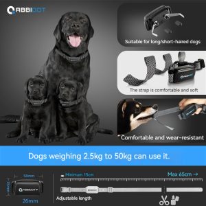 Sangle réglable pour chien : S'adapte confortablement aux chiens de 2,5 kg à 50 kg - Conception polyvalente et réglable