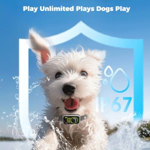 Waterproof dog toy for endless play, featuring IP67 rating for durability and fun.