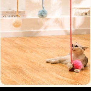 Adorable Siamese Kitten Playing with Pom-Pom Toy on Wooden Floor.