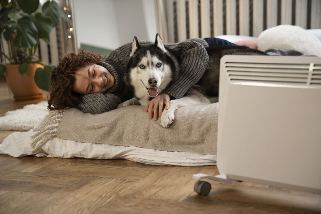 Moment agréable avec un Husky sibérien dans une maison.