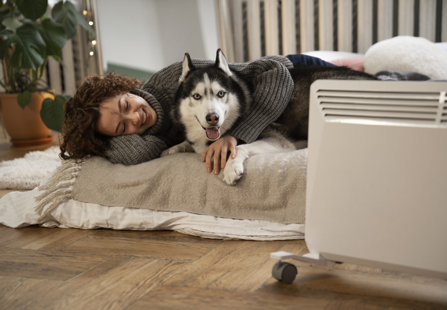 Moment agréable avec un Husky sibérien dans une maison.