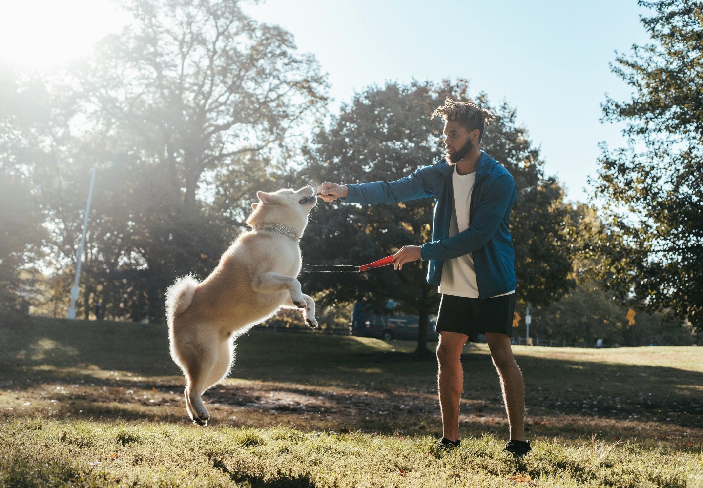 Ein Mann spielt mit einem flauschigen Hund in einem sonnigen Park und schafft eine fröhliche Gesellschaft im Freien.