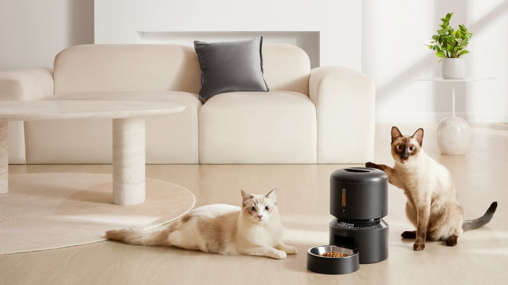 Sala de estar moderna con decoración elegante, gatos siameses y comedero automático para mascotas.