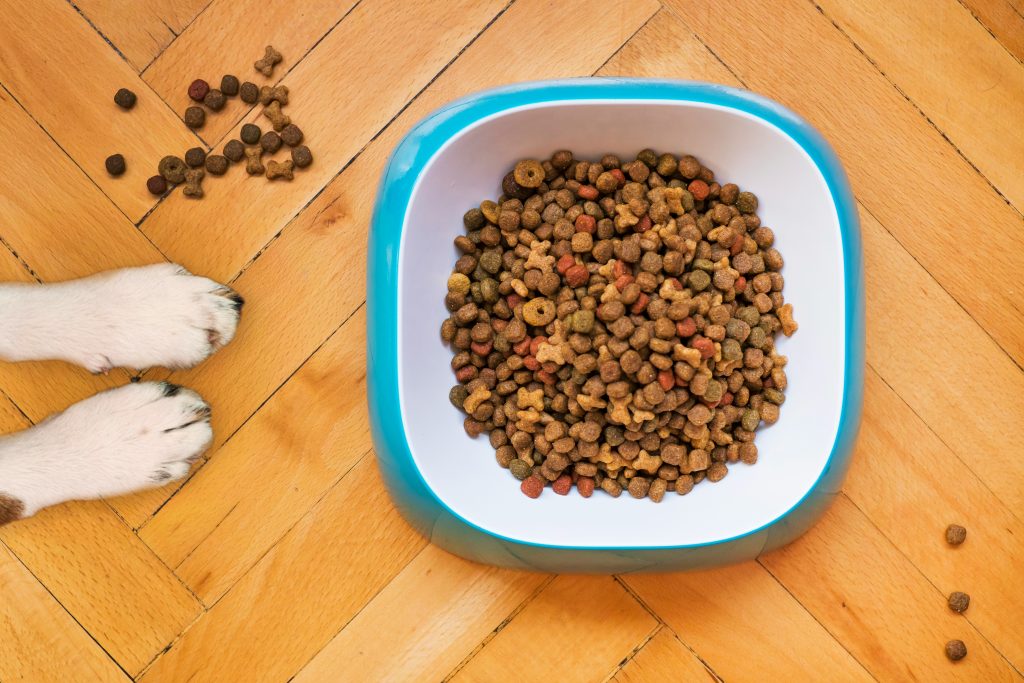 Croquettes colorées pour chien dans une gamelle bleue avec des empreintes de pattes sur un sol en bois dur.