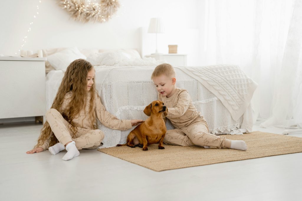 Des enfants jouant joyeusement avec un teckel dans une pièce confortable et bien éclairée.