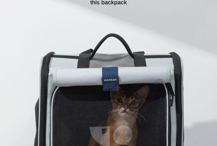 Spacious and breathable gray pet carrier backpack for outings with mesh window.