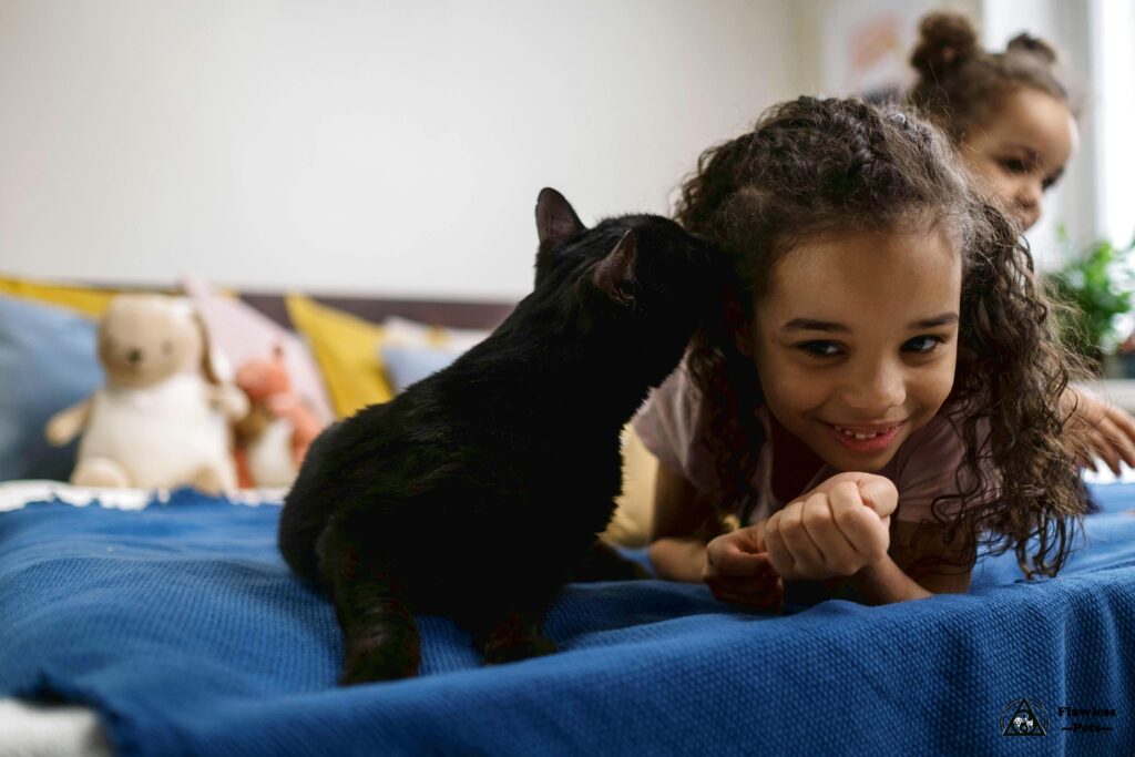Кудрявая кошка